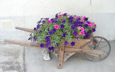 Questo anno la Pasqua e il Ponte del 25 Aprile sono una buona occasione per venire a visitare il Parco della Maremma. Prenotate subito la vostra VACANZA