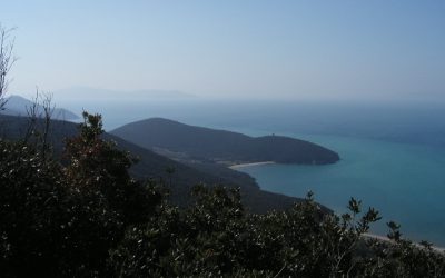I prossimi appuntamenti di Nordic Walking al Parco della Maremma!