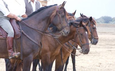 Il Primo maggio i Butteri di Maremma protagonisti ad Alberese