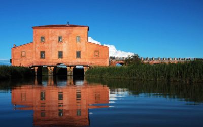 La riserva Naturale Diaccia Botrona